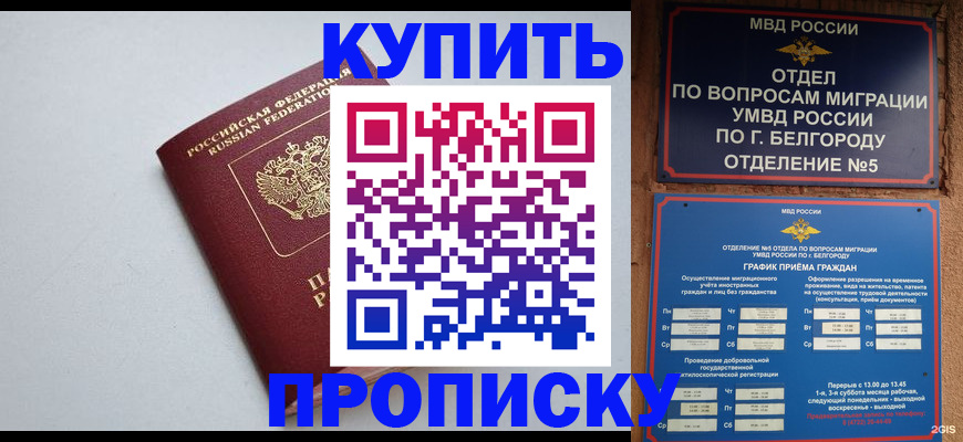 прописка регистрация в Димитровграде
